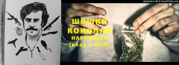 ГАЛЛЮЦИНОГЕННЫЕ ГРИБЫ Алзамай