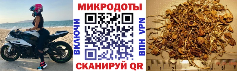 мега   Краснообск  Псилоцибиновые грибы прущие грибы 